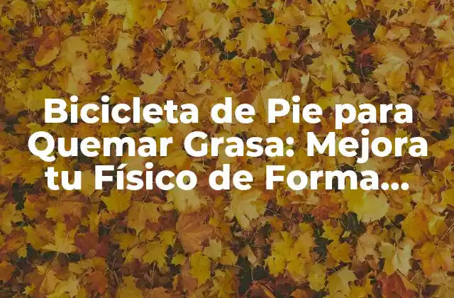 Bicicleta de Pie para Quemar Grasa: Mejora Tu Físico de Forma Divertida
