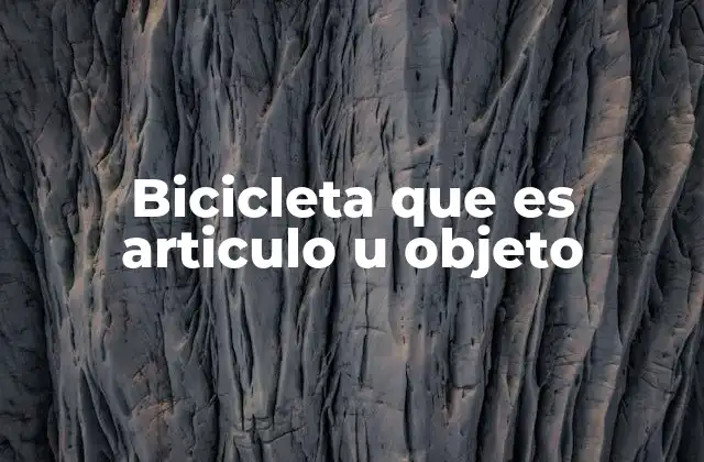 Bicicleta que es Articulo u Objeto