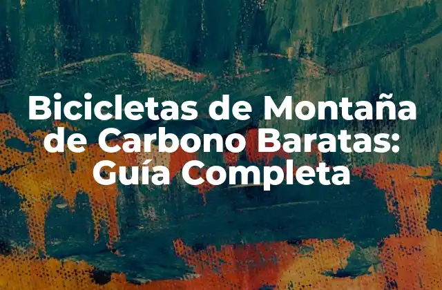 Bicicletas de Montaña de Carbono Baratas: Guía Completa