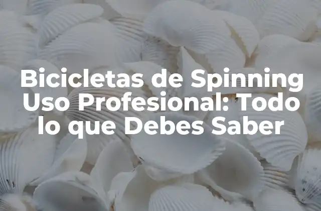 Bicicletas de Spinning Uso Profesional: Todo Lo que Debes Saber