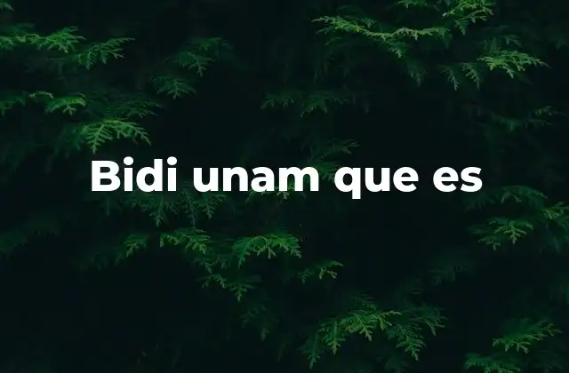 Bidi Unam que es