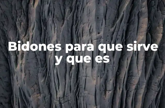 Bidones para que Sirve y que es