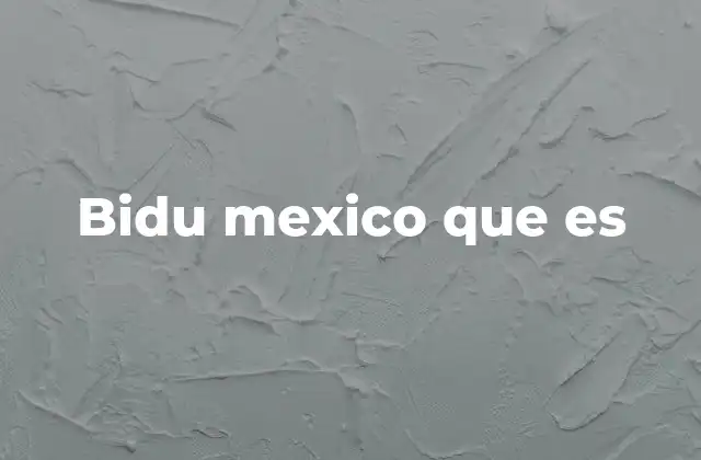 Bidu Mexico que es