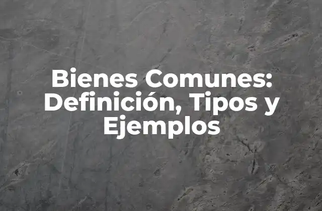 Bienes Comunes: Definición, Tipos y Ejemplos