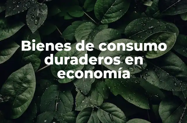 Bienes de Consumo Duraderos en Economía
