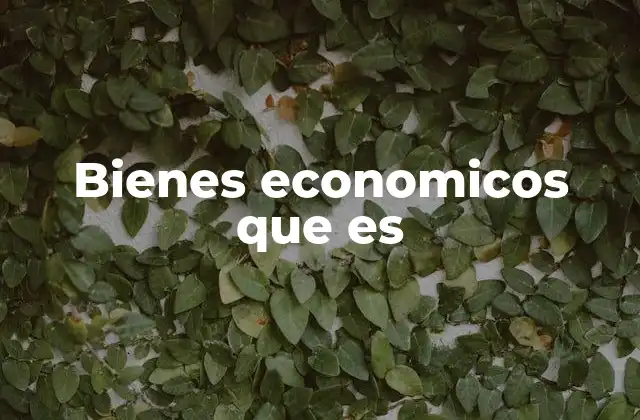 Bienes Economicos que es