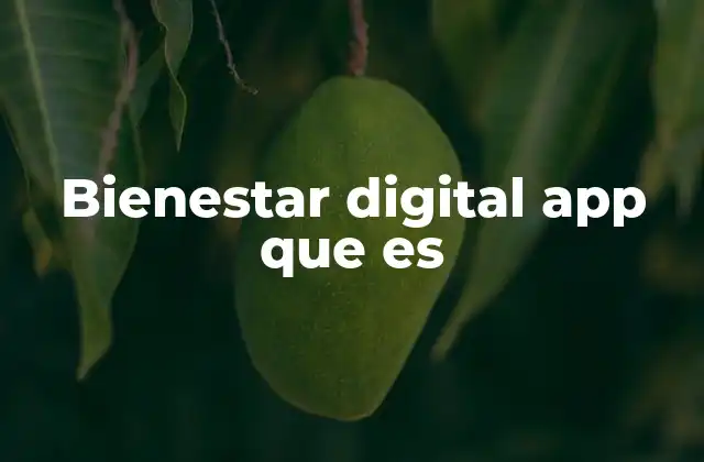 Bienestar Digital App que es