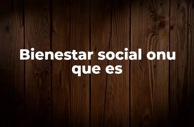 Bienestar Social Onu que es
