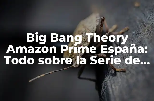 Big Bang Theory Amazon Prime España: Todo sobre la Serie de Física y Cosmología