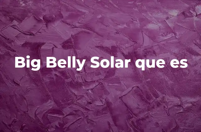 Big Belly Solar que es