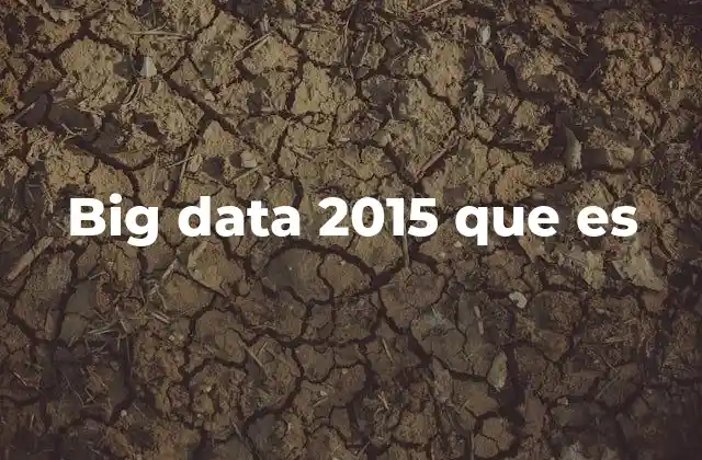 Big Data 2015 que es