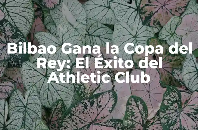 Bilbao Gana la Copa Del Rey: el Éxito Del Athletic Club