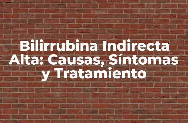 Bilirrubina Indirecta Alta: Causas, Síntomas y Tratamiento