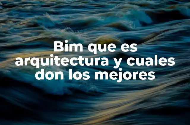 Bim que es Arquitectura y Cuales Don los Mejores