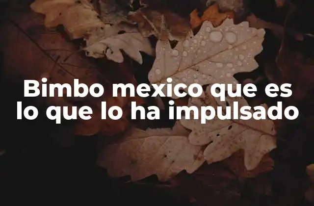 Bimbo Mexico que es Lo que Lo Ha Impulsado