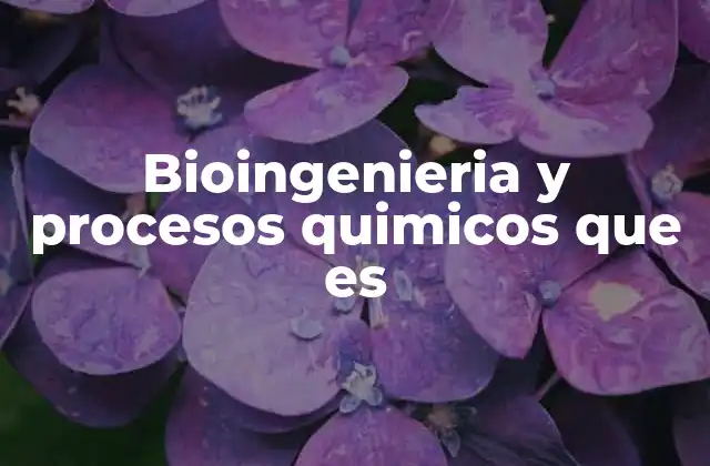 Bioingenieria y Procesos Quimicos que es