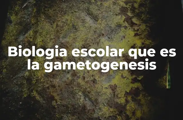 Biologia Escolar que es la Gametogenesis