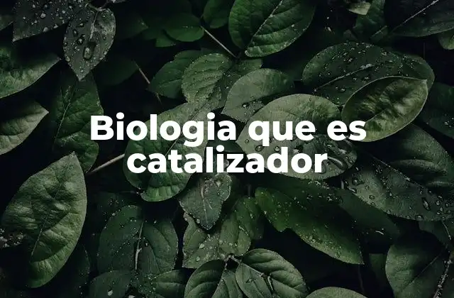 Biologia que es Catalizador