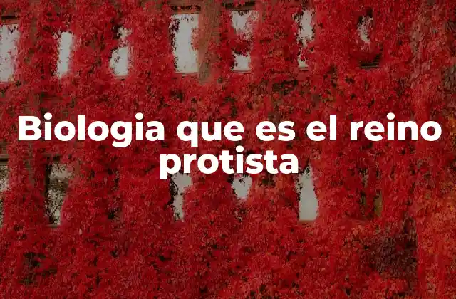 Biologia que es el Reino Protista