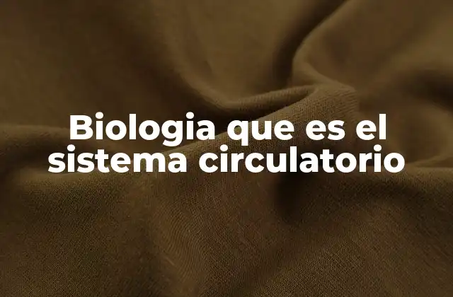 El sistema circulatorio y su importancia en la vida animal