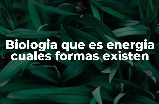 Biologia que es Energia Cuales Formas Existen