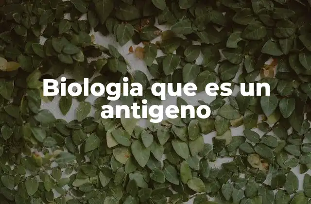 Biologia que es un Antigeno