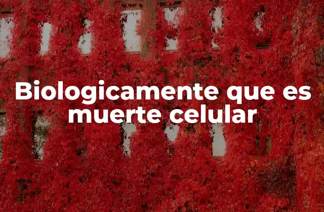 Biologicamente que es Muerte Celular