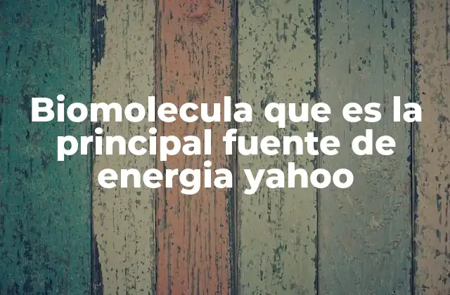 Biomolecula que es la Principal Fuente de Energia Yahoo
