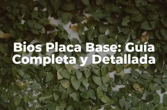 ¿Qué son los Bios de la Placa Base?