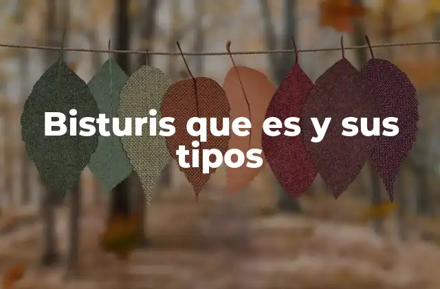 Bisturis que es y Sus Tipos