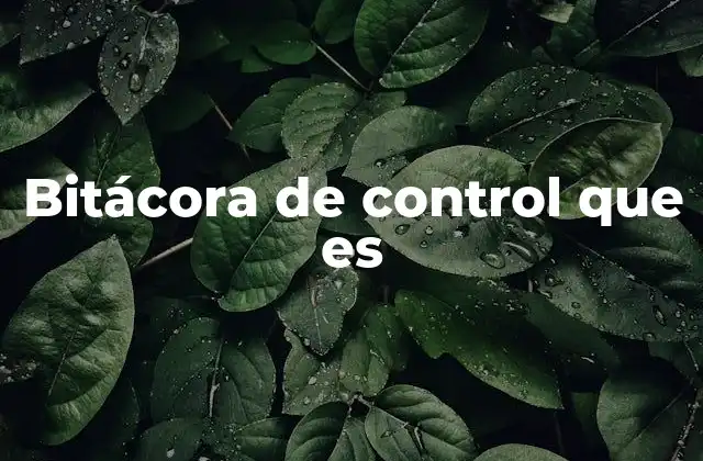 Bitácora de Control que es