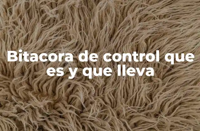 Bitacora de Control que es y que Lleva