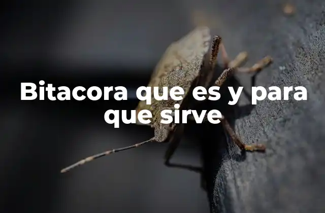 Bitacora que es y para que Sirve