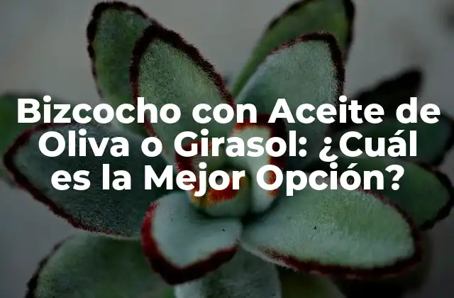 Bizcocho con Aceite de Oliva o Girasol: ¿cuál es la Mejor Opción?