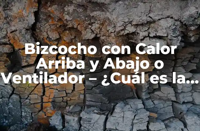 Bizcocho con Calor Arriba y Abajo o Ventilador – ¿cuál es la Mejor Opción?