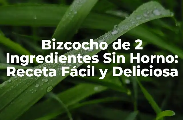 Bizcocho de 2 Ingredientes sin Horno: Receta Fácil y Deliciosa
