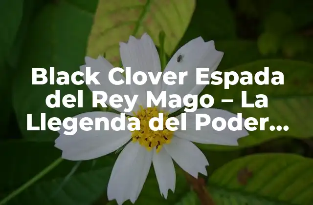 Black Clover Espada Del Rey Mago – la Llegenda Del Poder Mágico