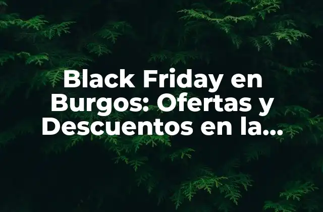 Black Friday en Burgos: Ofertas y Descuentos en la Ciudad Del Cid