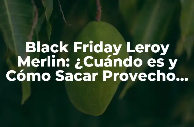 Black Friday Leroy Merlin: ¿cuándo es y Cómo Sacar Provecho de las Ofertas?