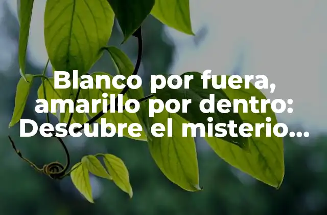 Blanco por Fuera, Amarillo por Dentro: Descubre el Misterio Detrás de Esta Frase