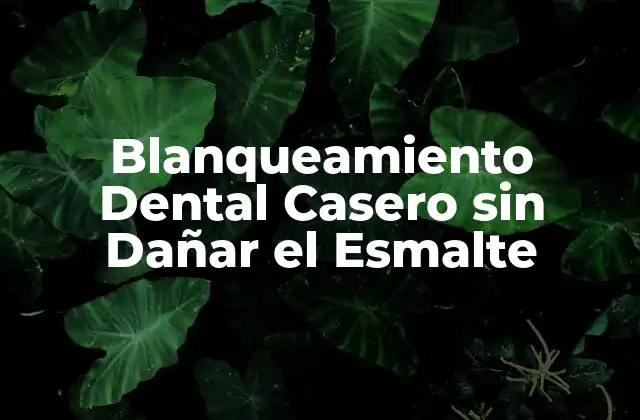 Blanqueamiento Dental Casero sin Dañar el Esmalte 2 ¿Qué es el Blanqueamiento Dental Casero?