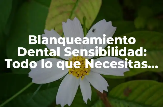 Blanqueamiento Dental Sensibilidad: Todo Lo que Necesitas Saber