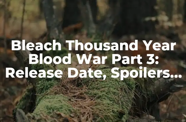 Bleach Thousand Year Blood War Part 3: Release Date, Spoilers, And More