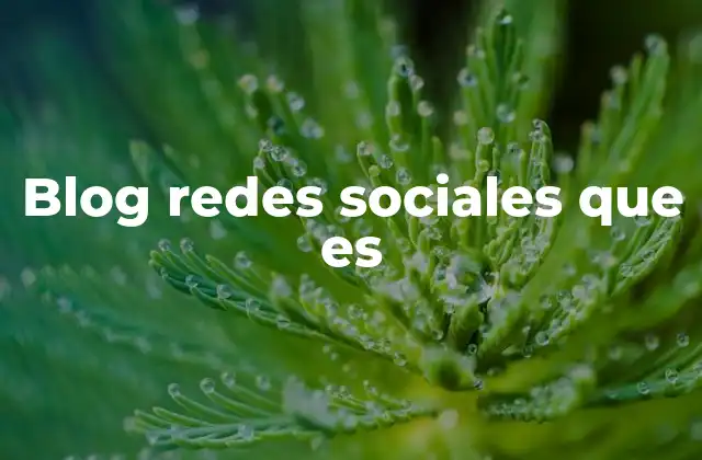 Blog Redes Sociales que es