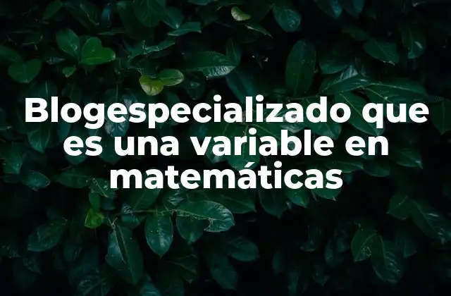 Blogespecializado que es una Variable en Matemáticas