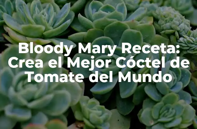 Bloody Mary Receta: Crea el Mejor Cóctel de Tomate Del Mundo