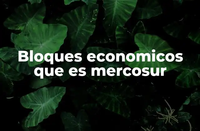 Bloques Economicos que es Mercosur