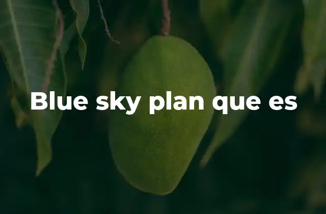 Blue Sky Plan que es