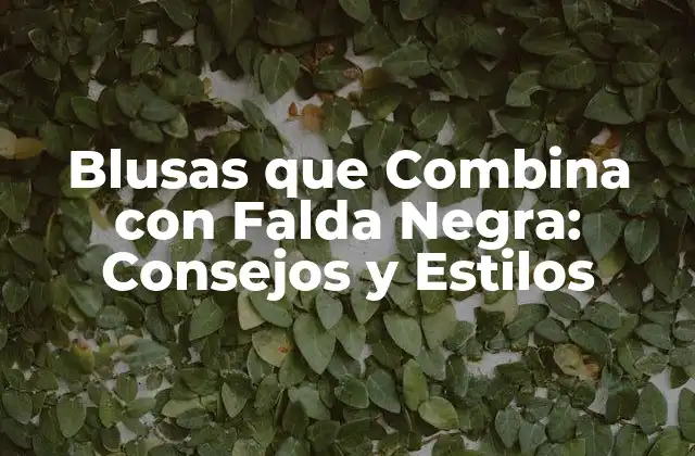 Blusas que Combina con Falda Negra: Consejos y Estilos