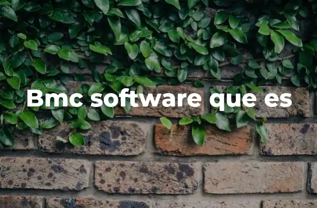 Bmc Software que es
